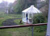 drivhus plantes.jpg (105659 byte)