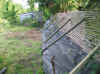 dug2.jpg (166616 byte)