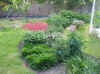 staude0605_2.jpg (187374 byte)