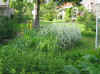 staude0605_4.jpg (169900 byte)