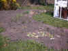 staudebed6.jpg (153633 byte)