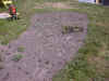 staudebed7.jpg (143655 byte)
